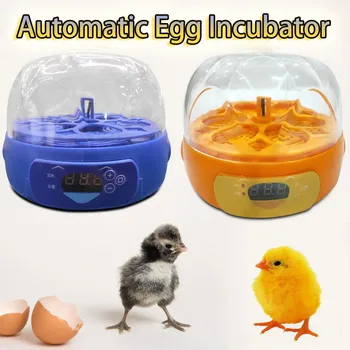 Автоматичен инкубатор за яйца, тава за превръщането на яйца, Мини-инкубатор за превръщането на яйца, Птичи една квачка за гълъби